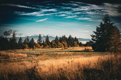 Precipice Of Fall by Cat Kerrigan framed wall art