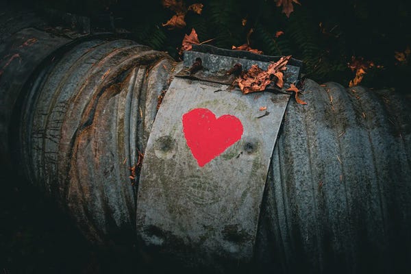 Cat Kerrigan: Love Is That Which Enables Choice by Cat Kerrigan