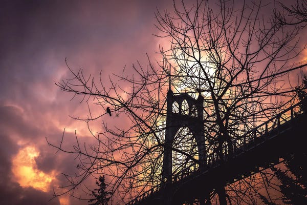 Crows: Crows At Sunrise by Cat Kerrigan