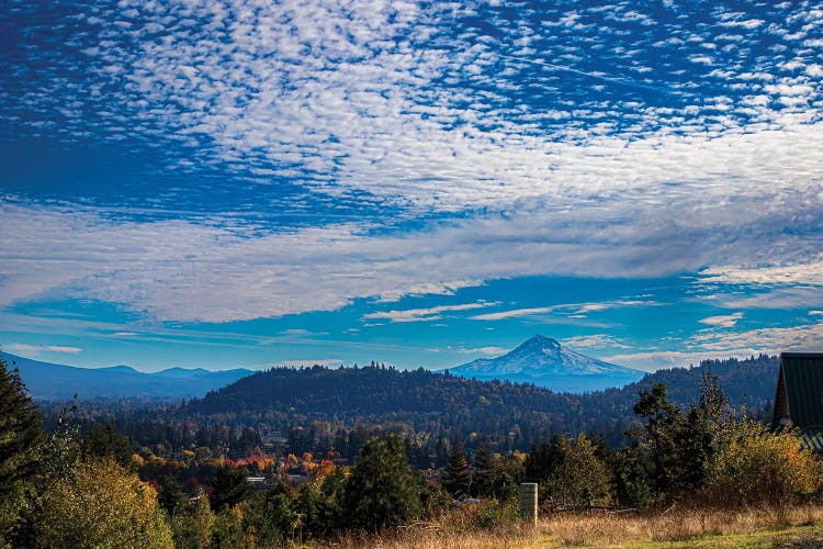 Precipice Of Autumn Mt. Hood by Cat Kerrigan wall art