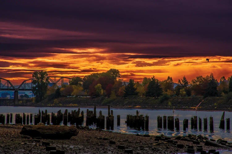 Sunrise At Cathedral Park by Cat Kerrigan wall art