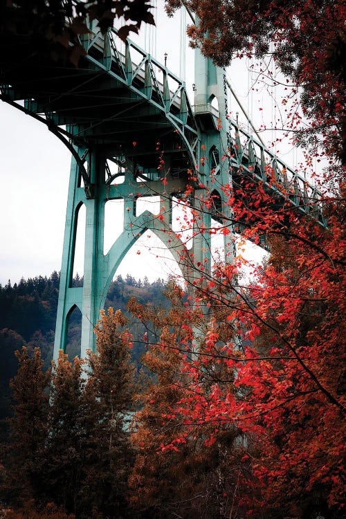 St. John's Bridge Autumn by Cat Kerrigan wall art