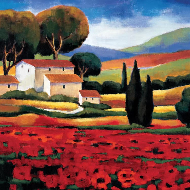 Poppy Field II by Janine Clarke wall art