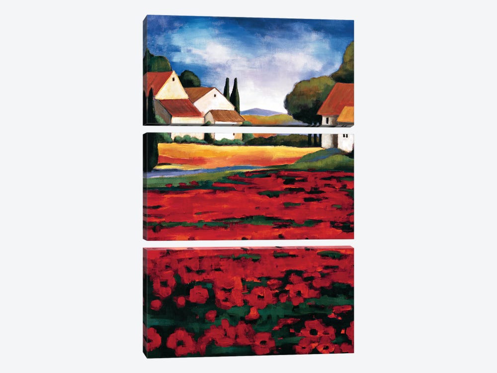 Poppy Field I by Janine Clarke 3-piece Art Print