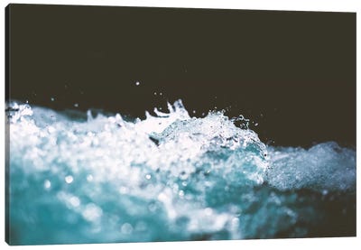 Water XII Canvas Art Print