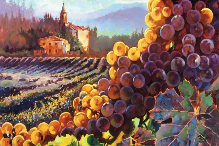 Tuscany Harvest