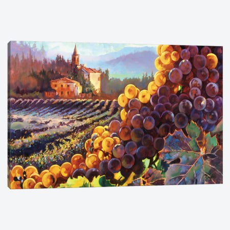 Tuscany Harvest Canvas Print #CLF1} by Clif Hadfield Art Print