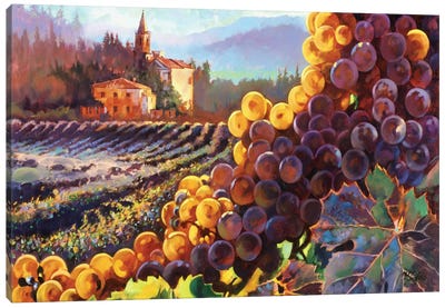 Tuscany Harvest Canvas Art Print - Vineyard Art
