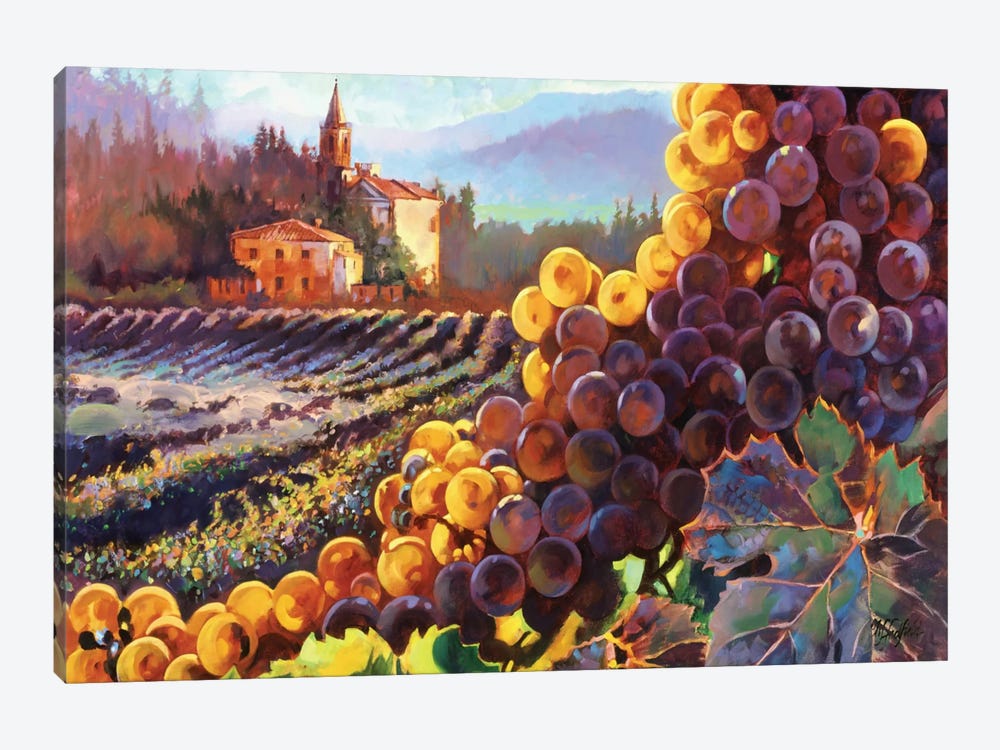 Tuscany Harvest by Clif Hadfield 1-piece Canvas Artwork