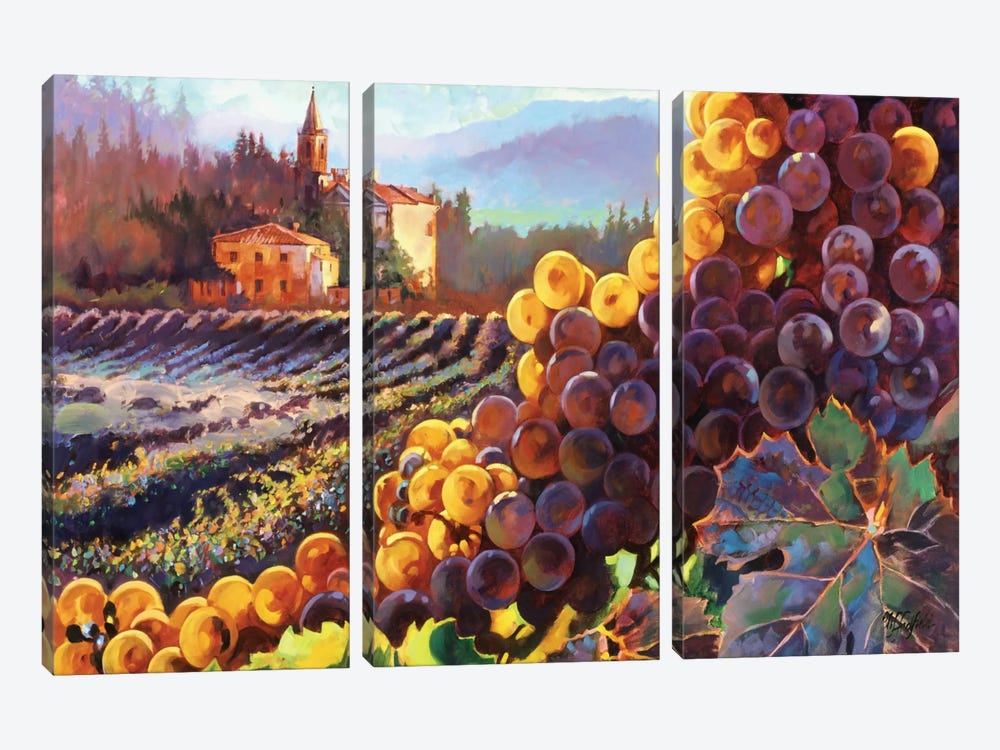 Tuscany Harvest 3-piece Canvas Wall Art