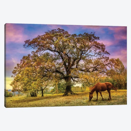 Under The Old Oak Tree Canvas Print #CLG12} by Celebrate Life Gallery Art Print