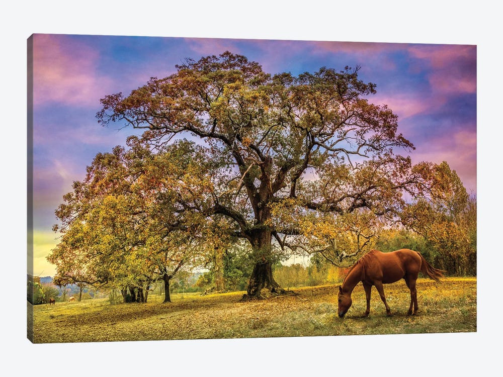 Under The Old Oak Tree by Celebrate Life Gallery 1-piece Canvas Art