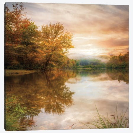 Fallen Leaves Canvas Print #CLG4} by Celebrate Life Gallery Canvas Print