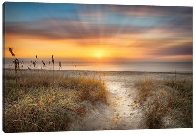 Sandy Walk At The Dunes Canvas Art Print - Beach Sunrise & Sunset Art