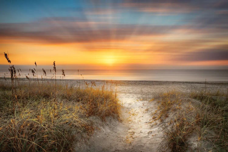 Sandy Walk At The Dunes