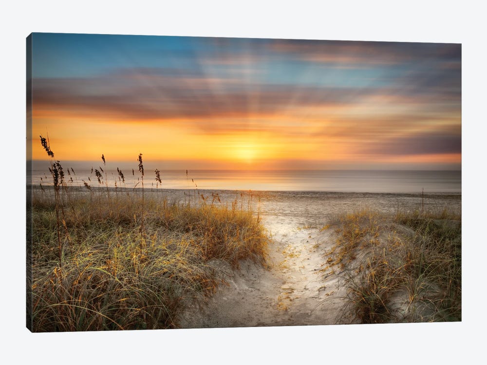 Sandy Walk At The Dunes by Celebrate Life Gallery 1-piece Canvas Print