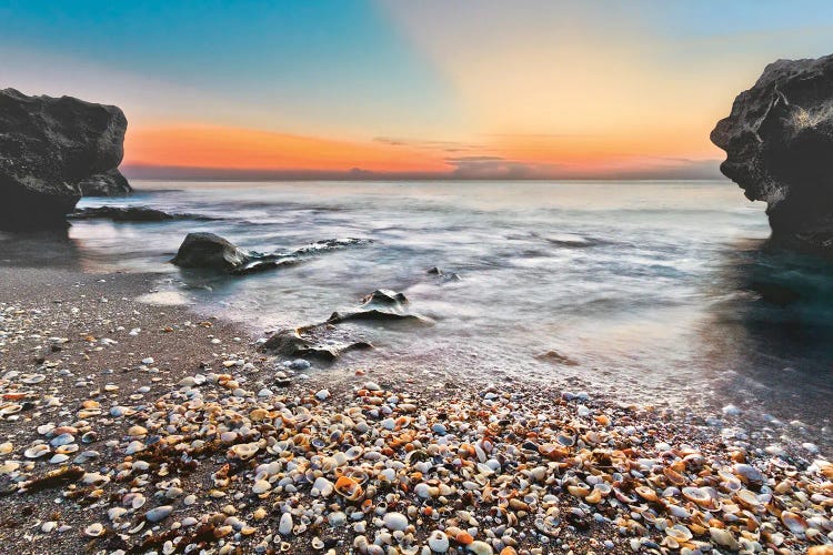 Shell City by Celebrate Life Gallery wall art