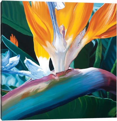 Bird Of Paradise Canvas Art Print - Chloe Hedden