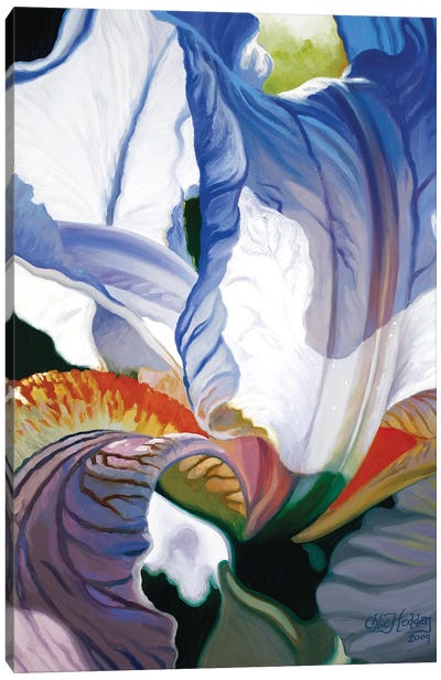 Blue Iris Canvas Art Print - Similar to Georgia O'Keeffe