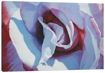 Blue Rose Canvas Art Print - Similar to Georgia O'Keeffe