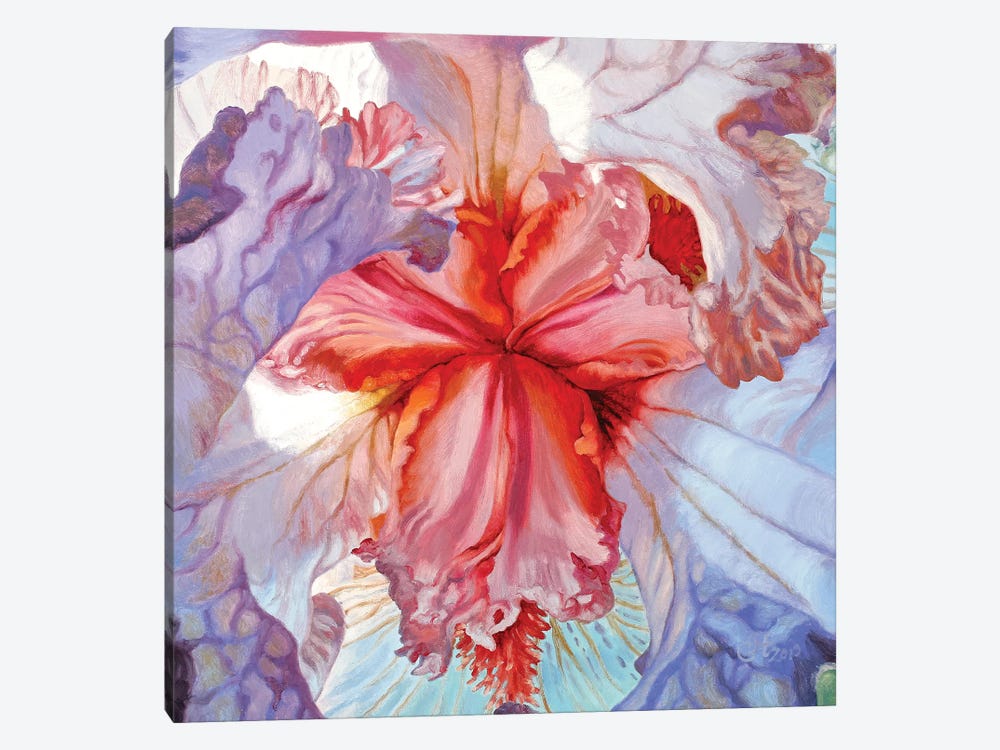 Delicacy by Chloe Hedden 1-piece Canvas Art
