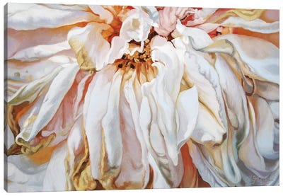 Faded Rose Canvas Art Print - Similar to Georgia O'Keeffe