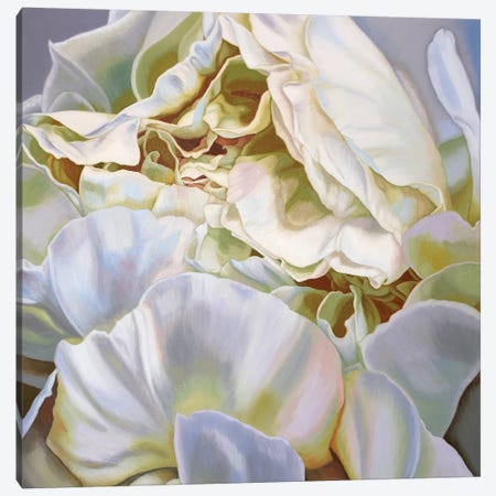 Green Peony Canvas Print #CLH37} by Chloe Hedden Canvas Art Print