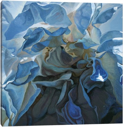 Inner Light Canvas Art Print - Similar to Georgia O'Keeffe