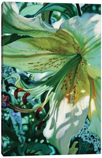 Janes Lily Canvas Art Print - Similar to Georgia O'Keeffe