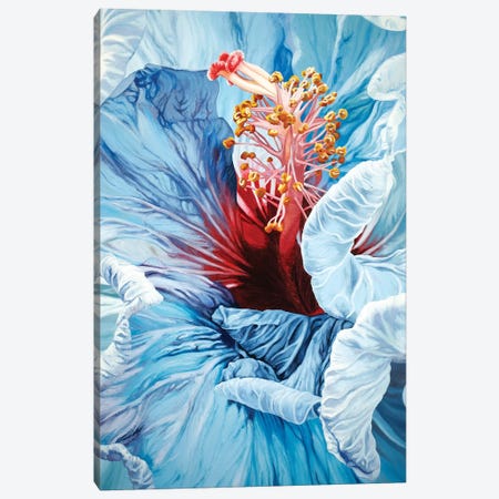 La Jolla Hibiscus Canvas Print #CLH48} by Chloe Hedden Canvas Art Print