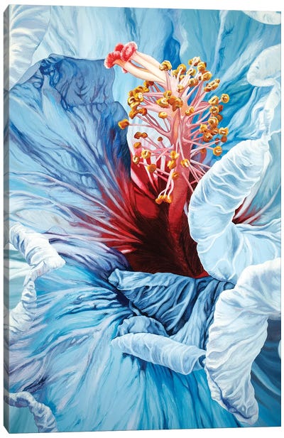 La Jolla Hibiscus Canvas Art Print - Similar to Georgia O'Keeffe