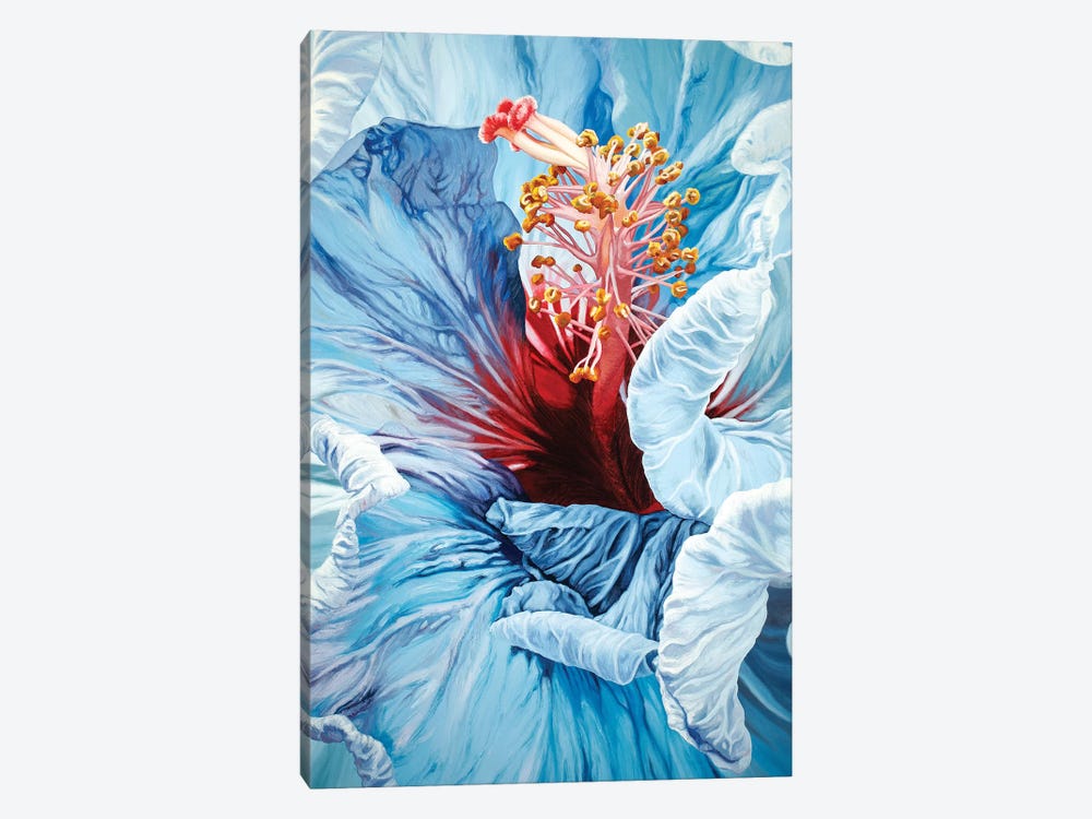 La Jolla Hibiscus by Chloe Hedden 1-piece Art Print