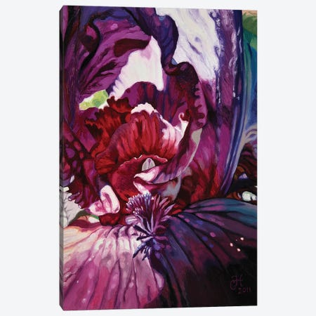 Purple Iris Canvas Print #CLH60} by Chloe Hedden Canvas Print
