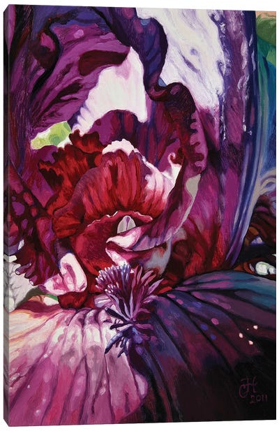 Purple Iris Canvas Art Print - Similar to Georgia O'Keeffe