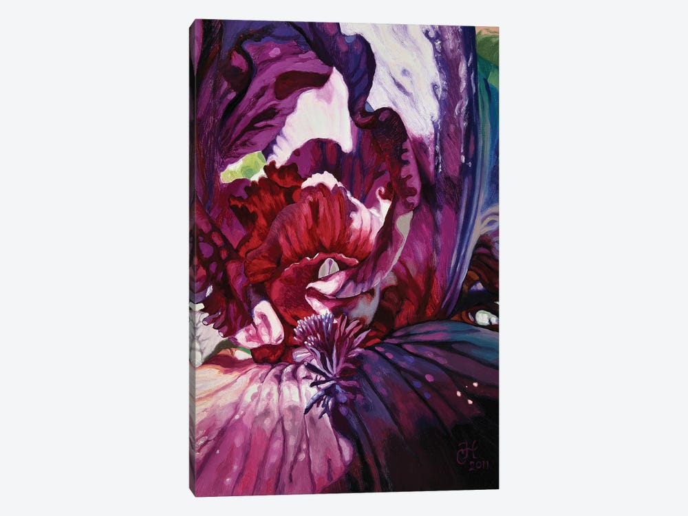 Purple Iris by Chloe Hedden 1-piece Canvas Art Print