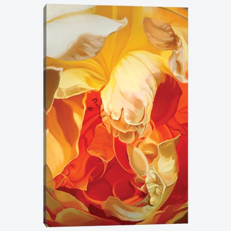 Rose For John Canvas Print #CLH64} by Chloe Hedden Canvas Art