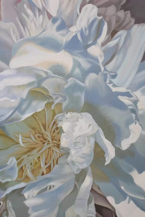 Salt Spring Peony IV