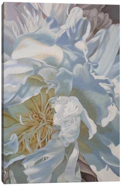 Salt Spring Peony IV Canvas Art Print - Similar to Georgia O'Keeffe