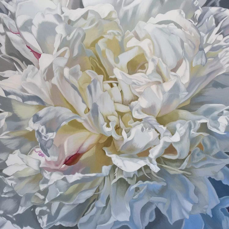 Salt Spring Peony V