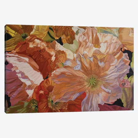 Salt Spring Poppies Canvas Print #CLH70} by Chloe Hedden Canvas Wall Art