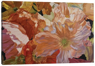 Salt Spring Poppies Canvas Art Print - Similar to Georgia O'Keeffe