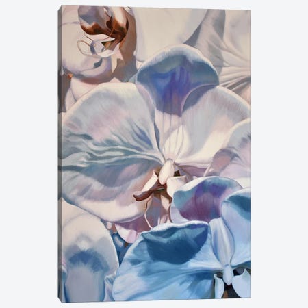White Orchids Canvas Print #CLH76} by Chloe Hedden Art Print