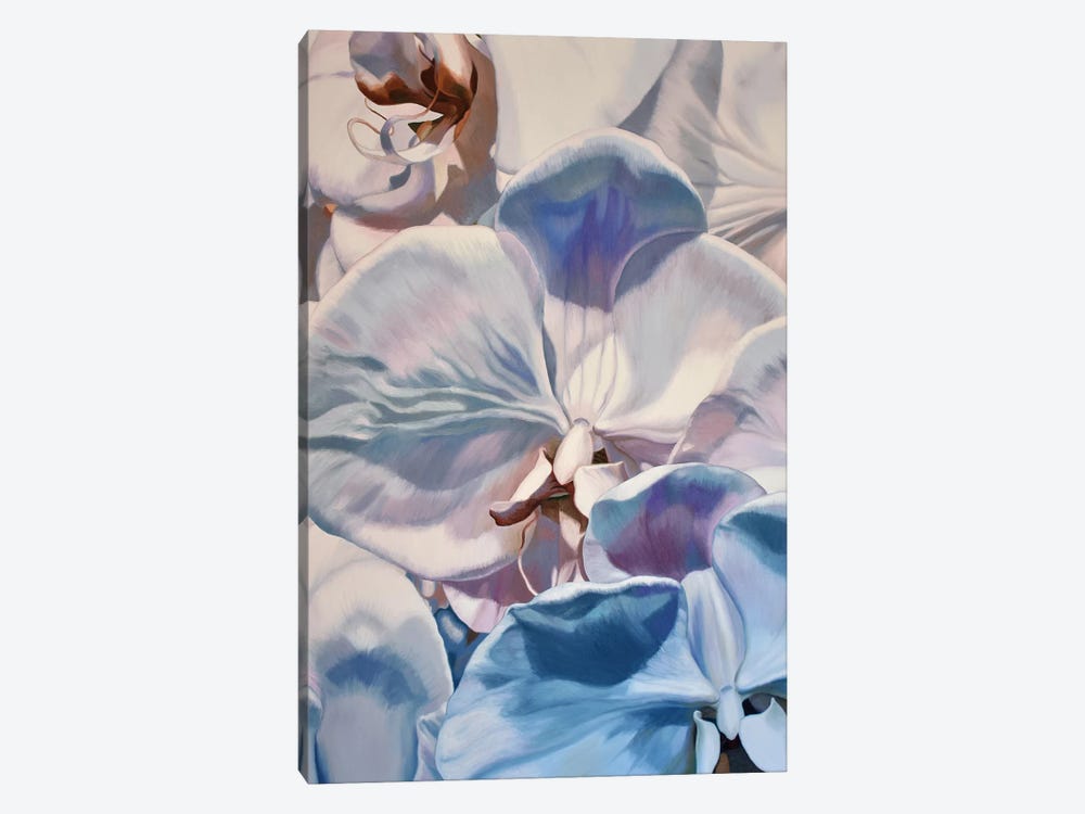 White Orchids by Chloe Hedden 1-piece Canvas Artwork