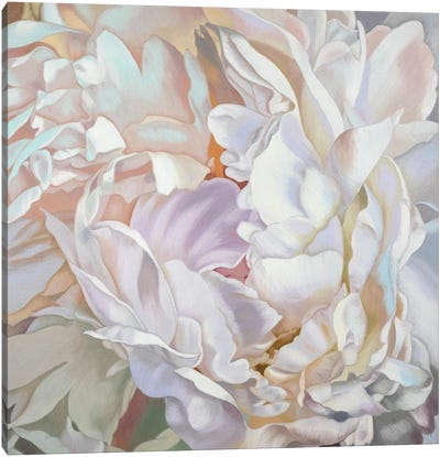 White Peony Canvas Art Print - Floral Close-Up Art