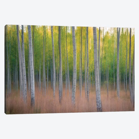 Intentional Camera Movement Canvas Print #CLI15} by Christian Lindsten Canvas Artwork