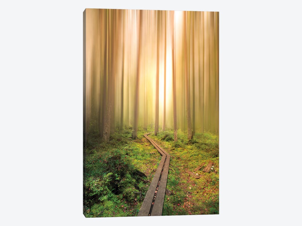 Into The Light by Christian Lindsten 1-piece Canvas Print