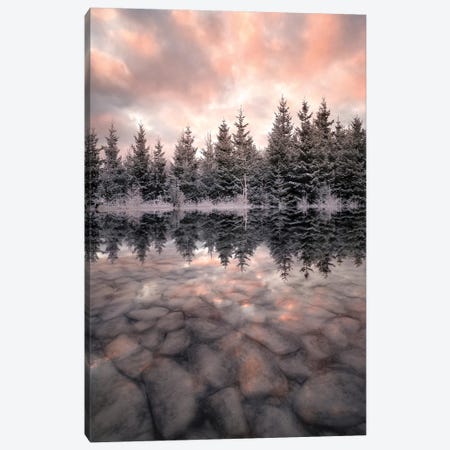 Melting Canvas Print #CLI17} by Christian Lindsten Canvas Art