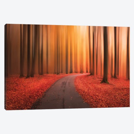 Path To Unknown Canvas Print #CLI19} by Christian Lindsten Canvas Art Print