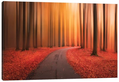 Path To Unknown Canvas Art Print