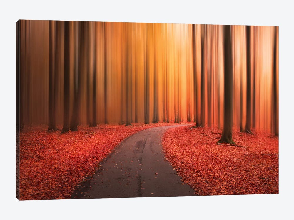 Path To Unknown by Christian Lindsten 1-piece Canvas Artwork
